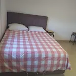 Masline Međugorje